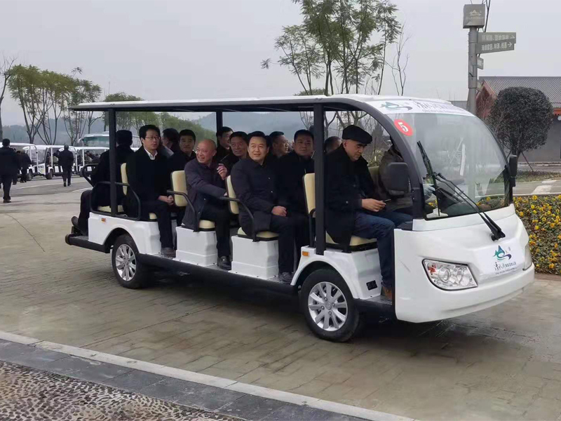 電瓶觀(guān)光車(chē)