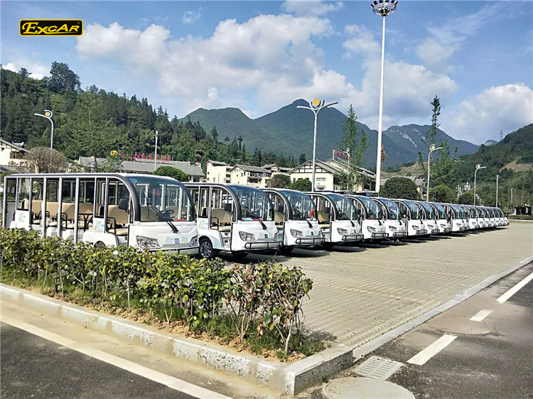電瓶觀(guān)光車(chē)