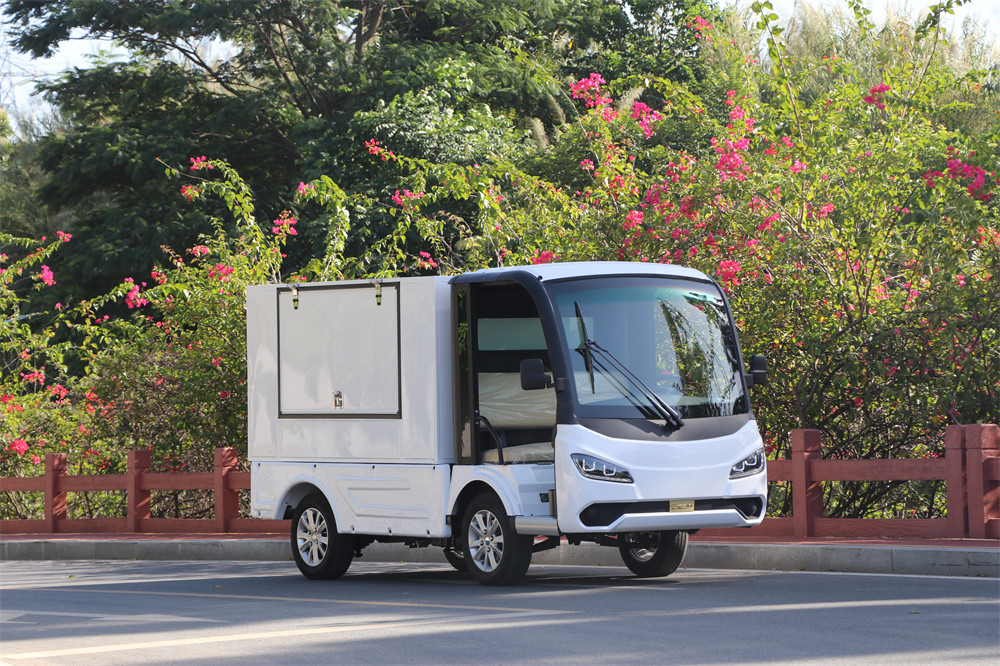 新款2座3開(kāi)門(mén)貨廂自卸電動(dòng)小貨車(chē)